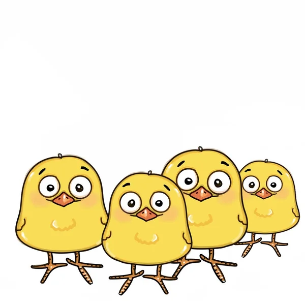 可爱的黄色小鸡插画卡通画和白色背景 — 图库照片