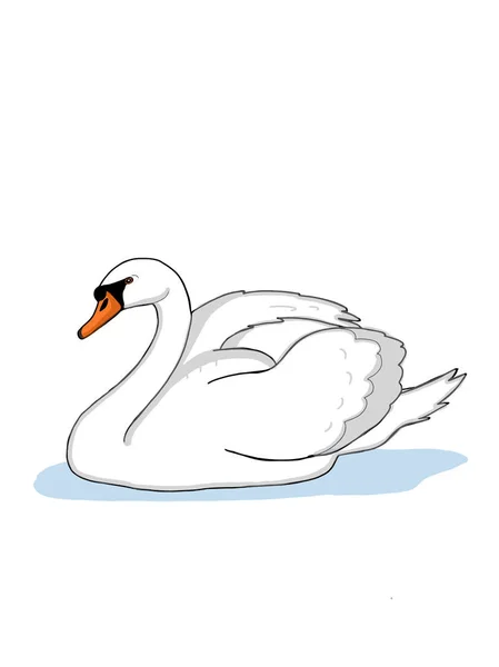 Swans Realistic White Background — Stock Photo, Image