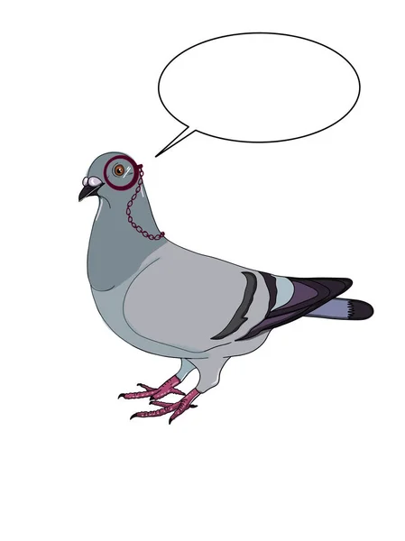 Dessin Illustration Pigeon Fond Blanc — Photo