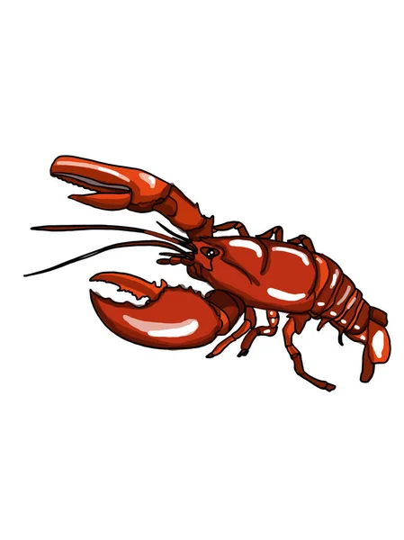 Ilustrasi Lobster Yang Realistis — Stok Foto