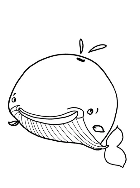 cute whale cartoon illustration