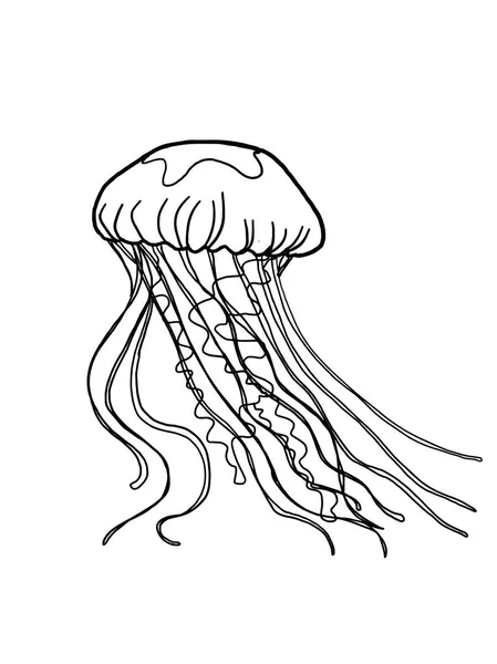 cartoon jellyfish sketch drawing