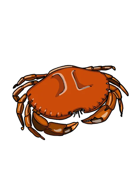 realistic cartoon crab and white background