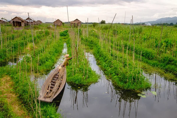 Landscape view of floating gardens on Inle lake with the farmer — Stock Photo, Image