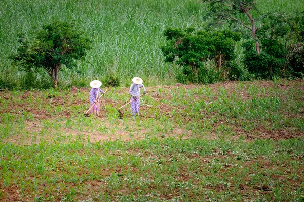 Veduta paesaggistica di un campo e di due agricoltori che lavorano la terra — Foto Stock