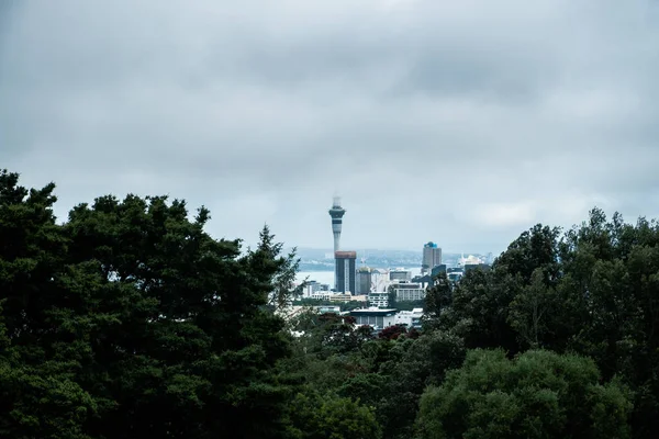 Vacker utsikt över Auckland silhuett i svala toner, Nya Zeeland — Stockfoto