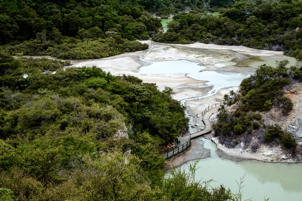 Pejzaż widok pola geotermalne w Wai o Tapu w pobliżu Rotorua, Nowa Zelandia — Zdjęcie stockowe