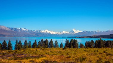 Panoramik göl Pukaki ve Mt Cook dağ silsilesi