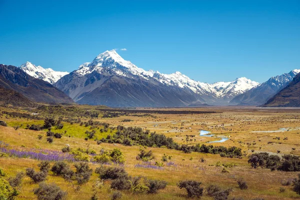 Οριζόντια προβολή των λιβαδιών και Mt Cook οροσειρά, Nz — Φωτογραφία Αρχείου