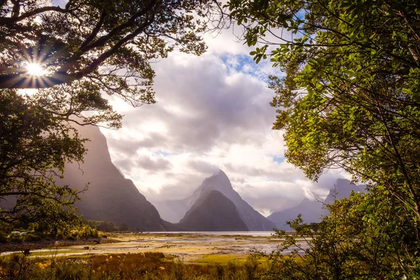 Vista paisagem de Milford som emoldurado em árvores, Nova Zelândia — Fotografia de Stock
