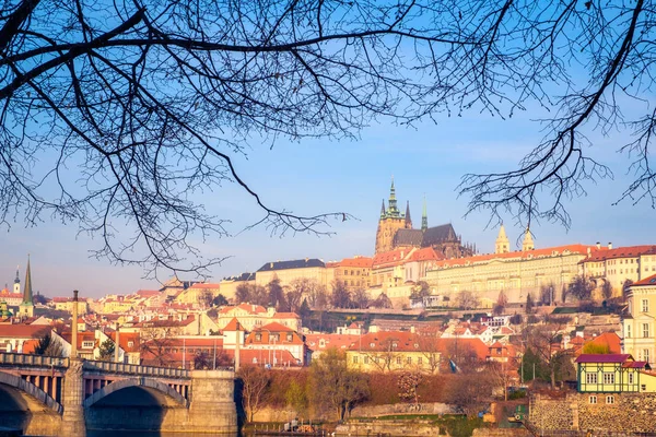 Vista cityscape do castelo de Praga emoldurado em galhos de árvore — Fotografia de Stock