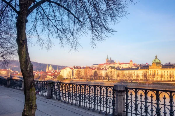 Vista de la ciudad del castillo de Praga con árbol en primer plano —  Fotos de Stock