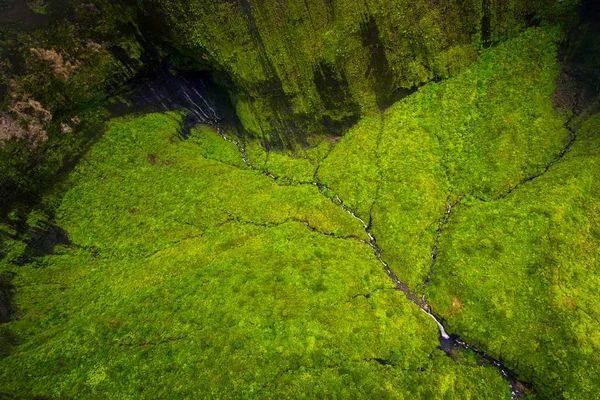 Vista aérea de córregos de água, rio e paisagem exuberante, Kauai — Fotografia de Stock