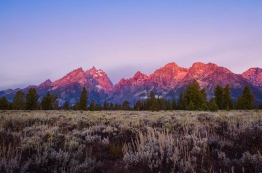 Manzara gündoğumu manzaraya Grand Teton Dağları, ABD