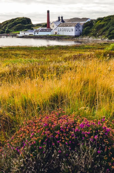 Islay, Egyesült Királyság - 2013. augusztus 25.: Lagavulin szeszfőzde gyár — Stock Fotó