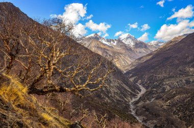 Himalaya Dağları Vadisi beyaz zirveleri ve ön planda, Nepal