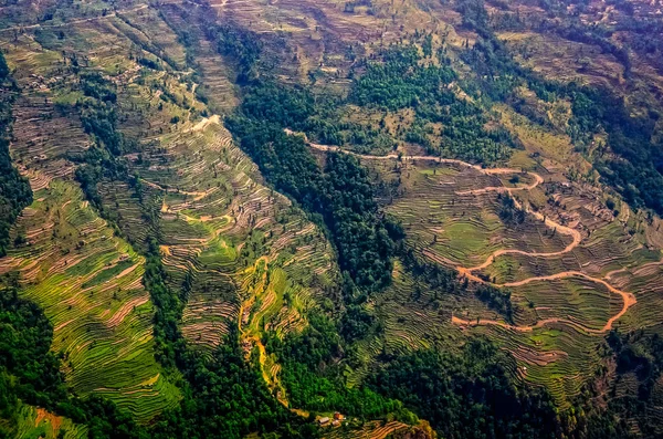 Luftaufnahme Von Grünen Und Bunten Reisfeldern Und Terrassen Nepal — Stockfoto