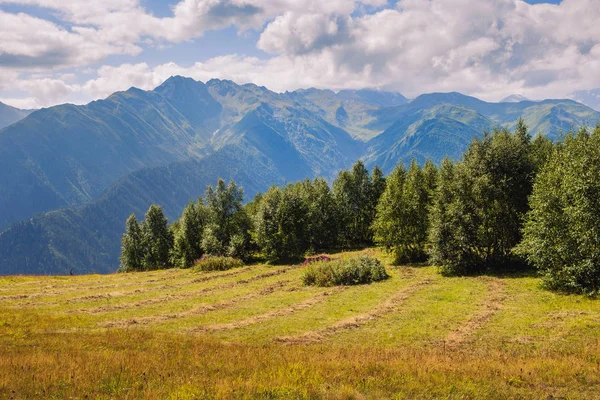 Liggande Kaukasus Berg Och Ängar Svanetien Land Georgien — Stockfoto