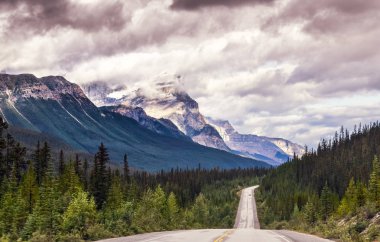 Icefields parkway, Jasper Np, Kanada ile sürücü