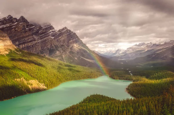 Snecin vista lago di Peyto e montagne rocciose con arcobaleno — Foto Stock