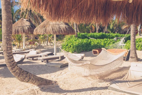 Sleeping net hanging between palm trees on the beach — Stock Photo, Image