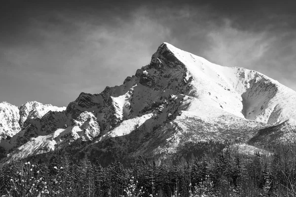 Monochromatyczne krajobraz widok Mt Krivan w Wysokie Tatry, Słowacja — Zdjęcie stockowe