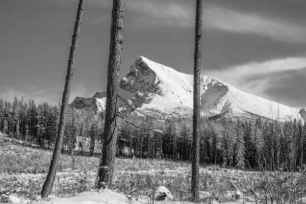 Vista del paesaggio monocromatico del Monte Krivan in Alti Tatra, Slovacchia — Foto Stock