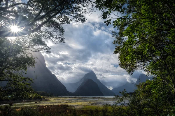 Manzaralı ağaçlar, Yeni Zelanda çerçeveli Milford ses — Stok fotoğraf