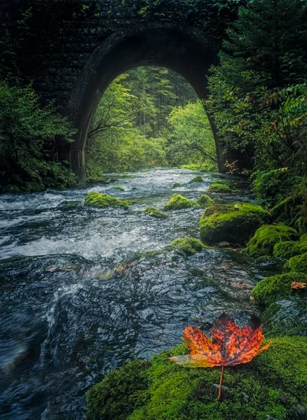 Alte Steinbrücke und fließender Fluss mit buntem Blatt im Vordergrund — Stockfoto