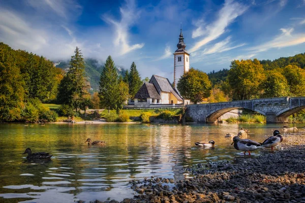 Vista panorámica de la iglesia del lago Bohinj con hermoso foliag colorido —  Fotos de Stock