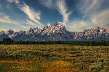 Grand Teton Dağları önü çayır manzaralı, Wyoming, ABD