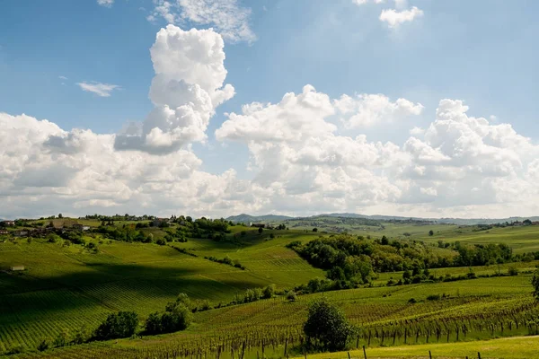 Shadows of clouds on vineyard landscape