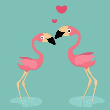 aşık tatlı flamingo