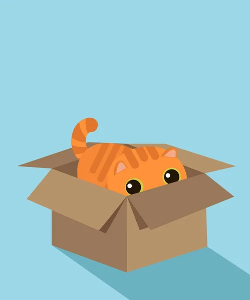 Gato en la caja — Vector de stock