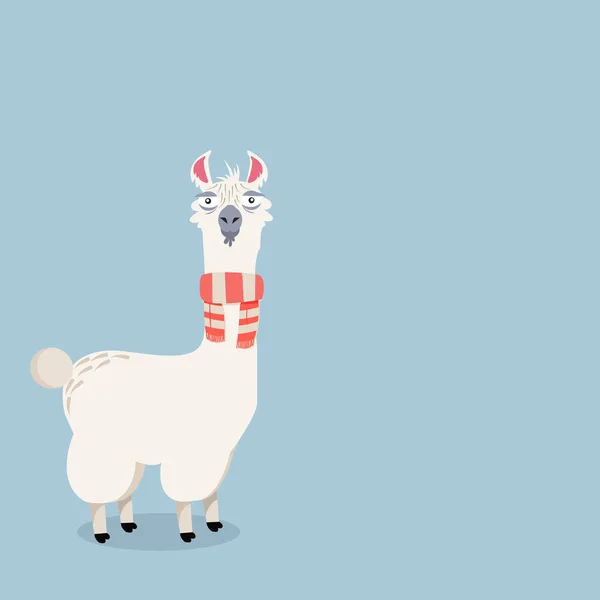 Lama alpaca Vector Ilustração — Vetor de Stock