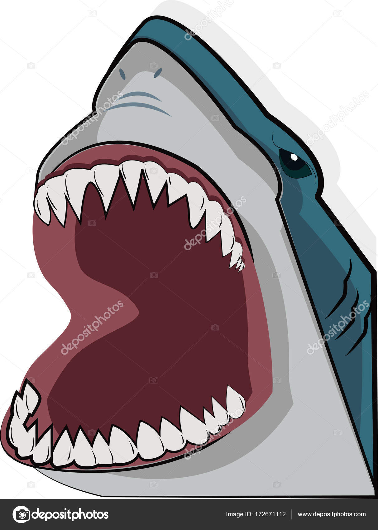 Tubarão Boca Aberta Desenho Animado Vetor Horror Perigo Cópia