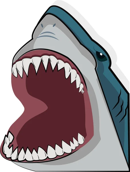 Requin bouche ouverte — Image vectorielle