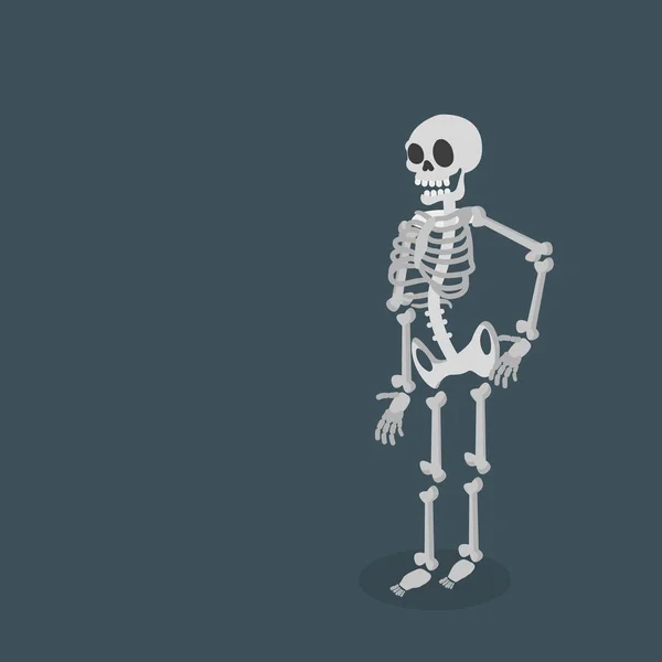 Esqueleto Vector plana — Vetor de Stock