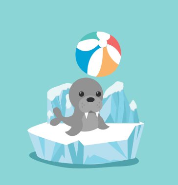 deniz aslanı buz parçası üzerinde
