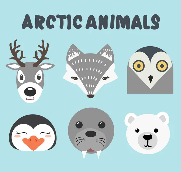 Head Cute Artic Animals — Stock Vector