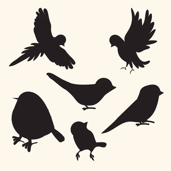 Vogels Silhouetten Collectie Vector — Stockvector