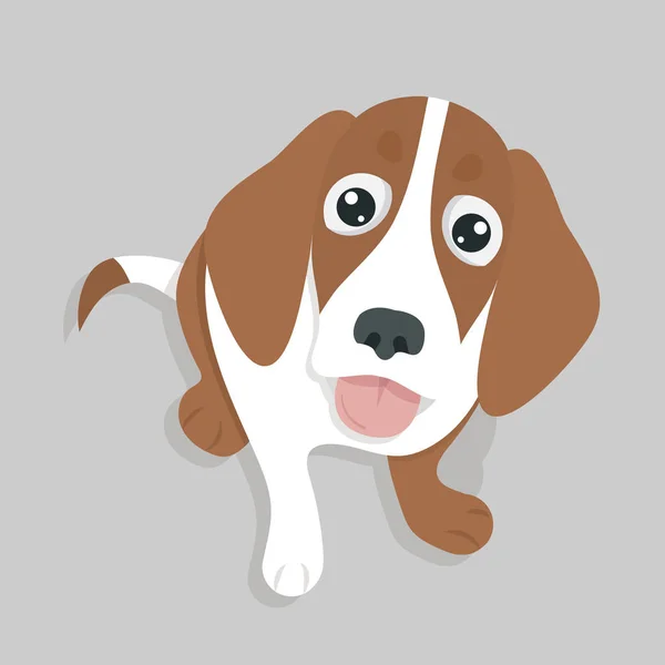 Cute Dog Sitting Vector — Stock Vector