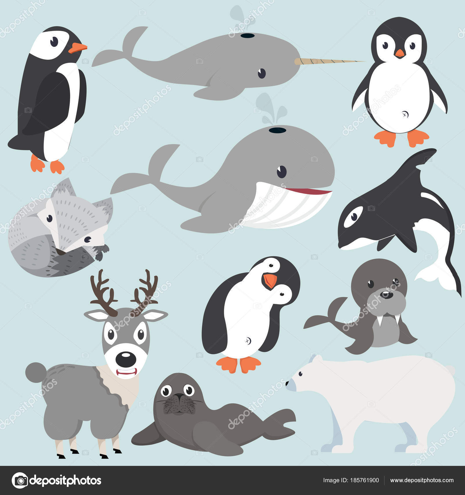 Artic Animals Cartoon Collection Stock Vector Image by  ©focus_bell@ #185761900