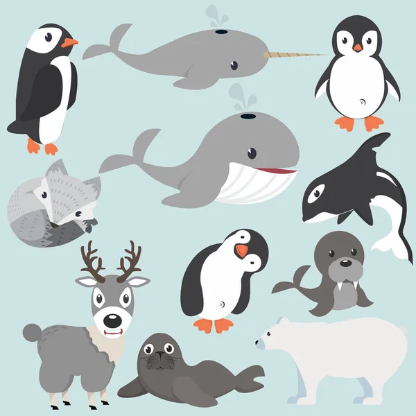 Animales Árticos Colección Dibujos Animados — Vector de stock