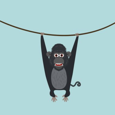 Sevimli maymun sarmaşık tırmanma