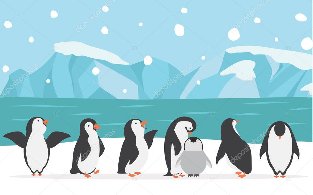 family penguins with North pole background vector