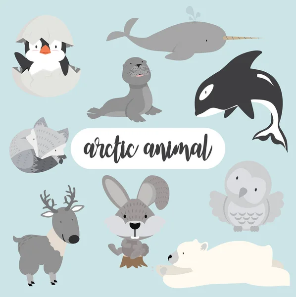 Arctic Animals Cartoon Flat Style Character Illustration Set — Stock Vector