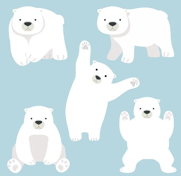 Urso Polar Bonito Engraçado Conjunto Vetores Desenhos Animados — Vetor de Stock