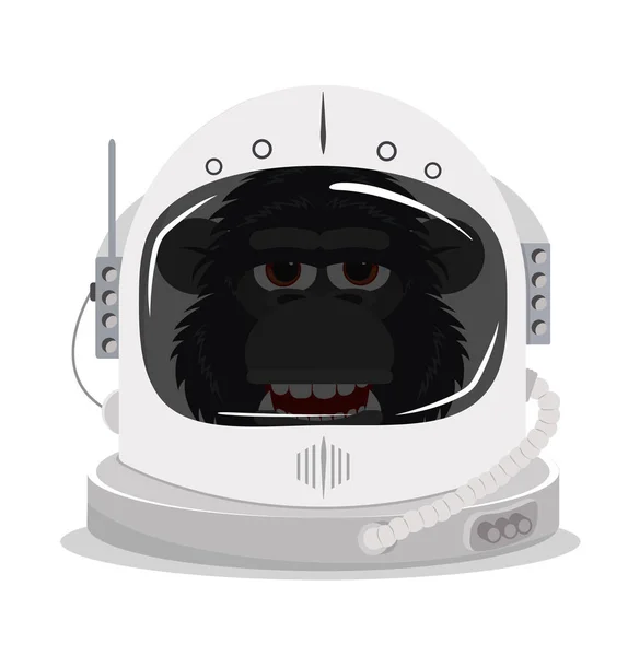우주비행사 헬멧을 침팬지 — 스톡 벡터