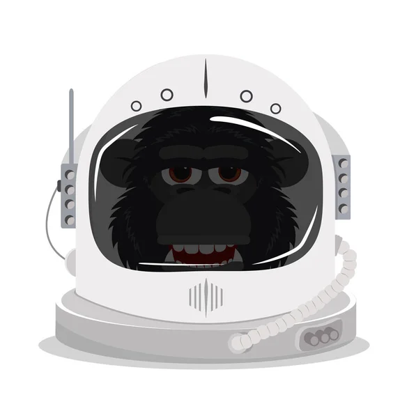 Chimpanzé Capacete Espacial Astronauta — Vetor de Stock